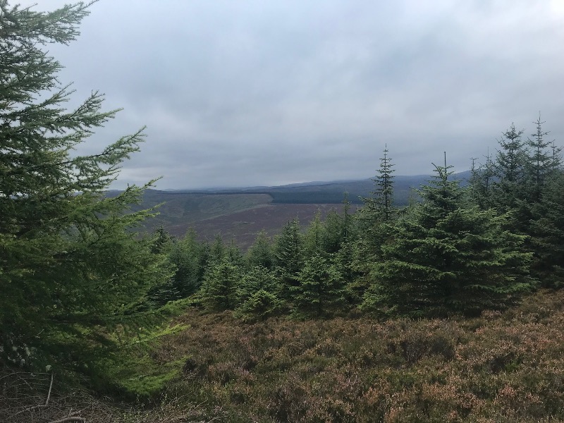 Innerleithen Mountain Bike Trails
