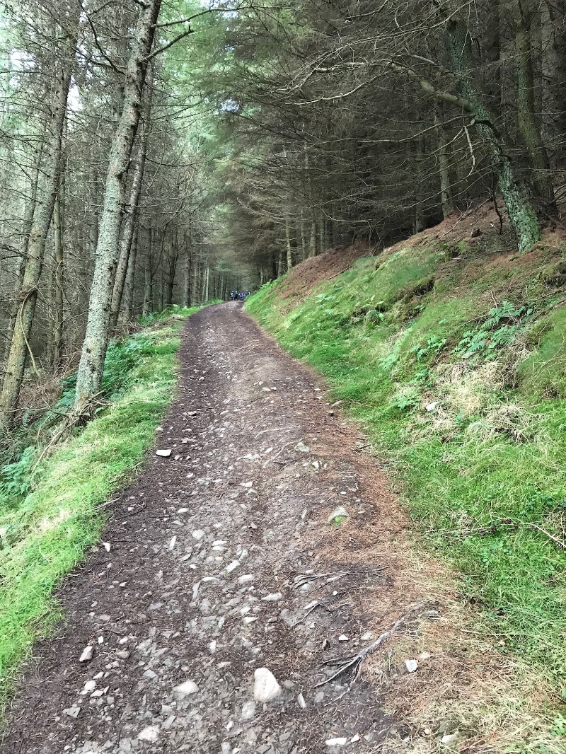 Innerleithen Mountain Bike Trails