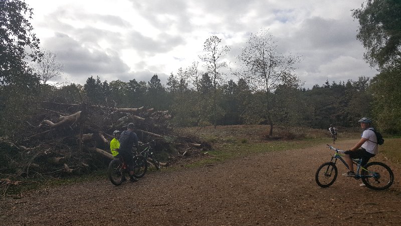Swinley Forest Mountain Bike Centre