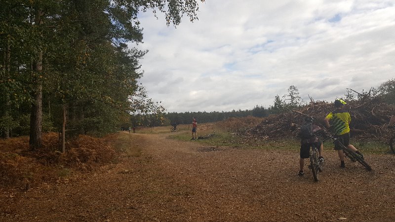 Swinley Forest Mountain Bike Centre