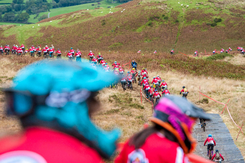 Red Bull Foxhunt
