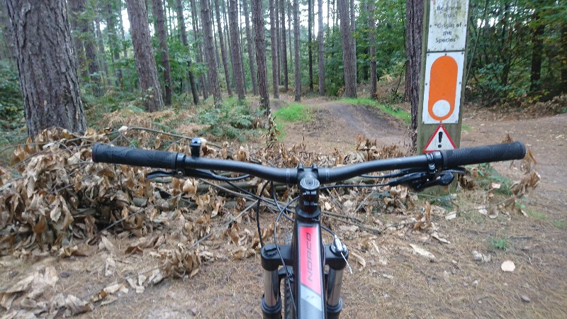 Sherwood Pines Mountain Bike Centre