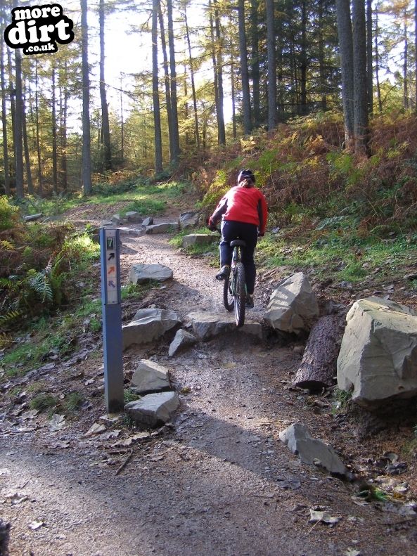 The Red Trail - Glentress