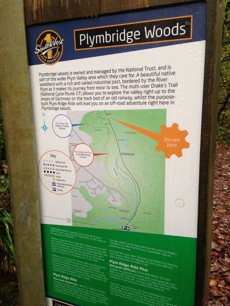 Plymbridge Woods Mountain Bike Trail