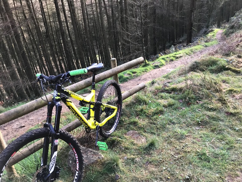 Cafall Mountain Bike Trail - Cwmcarn