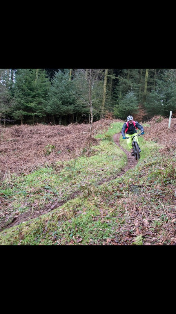 Triscombe Mountain Bike Trails