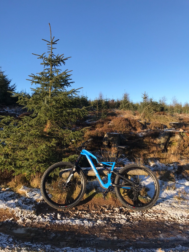 Hamsterley Forest Mountain Bike Trails