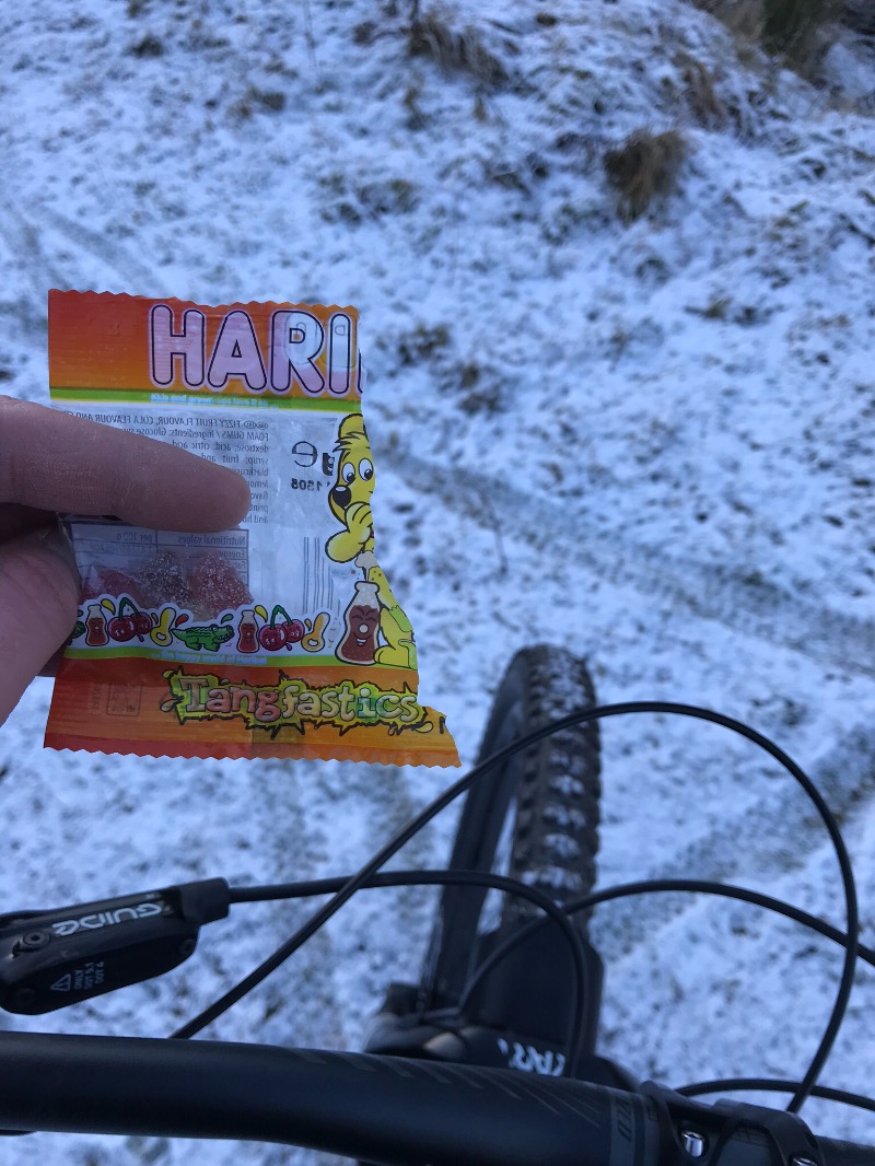 Hamsterley Forest Mountain Bike Trails