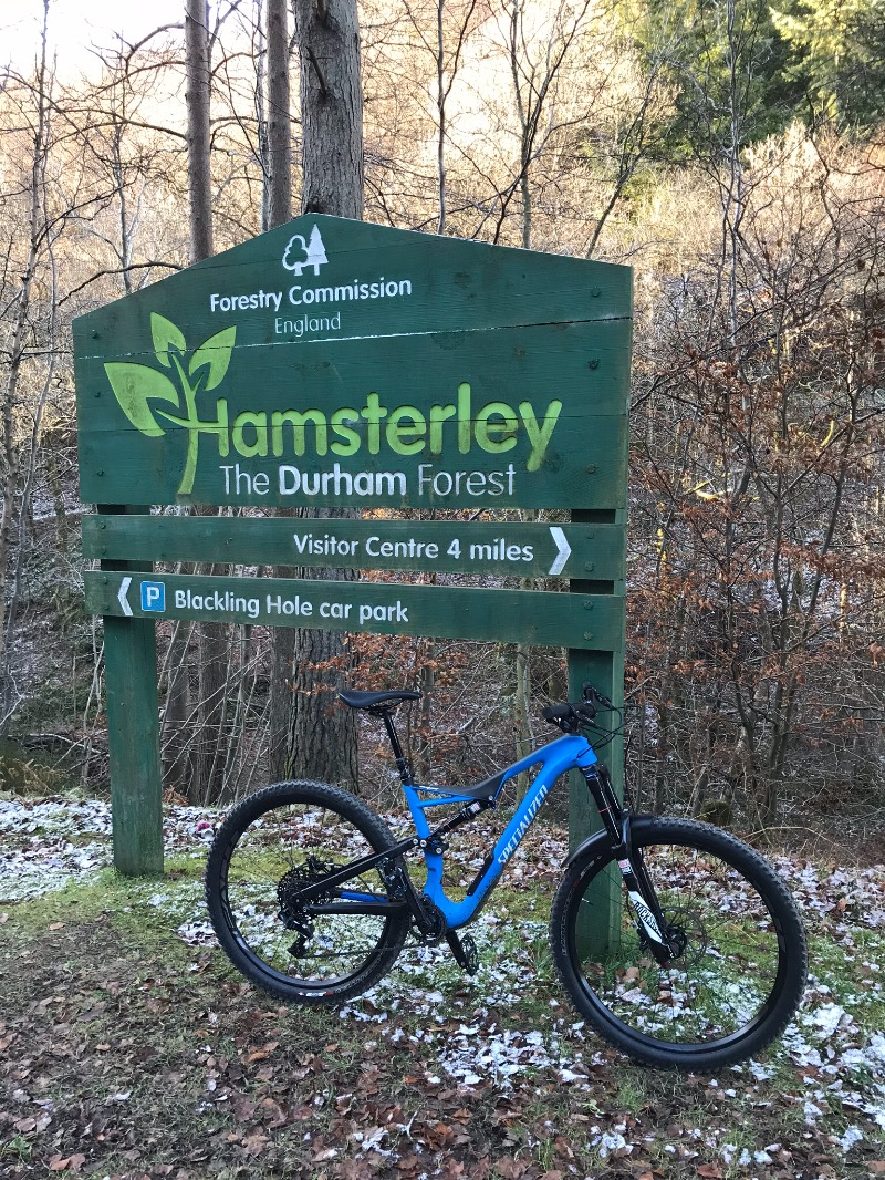 Hamsterley Forest Mountain Bike Trails