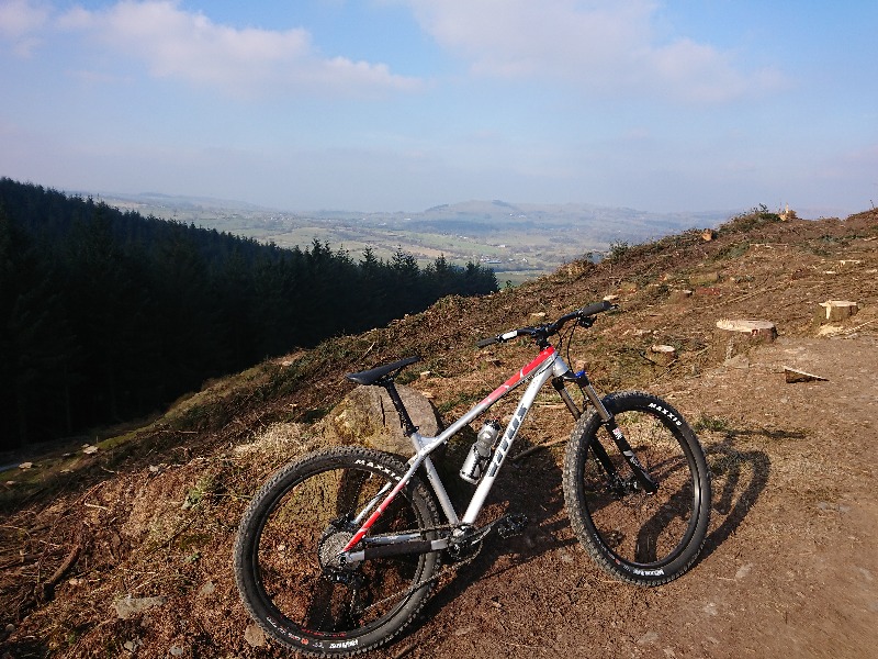 Coed Llandegla Trail Centre