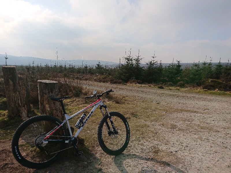 Coed Llandegla Trail Centre