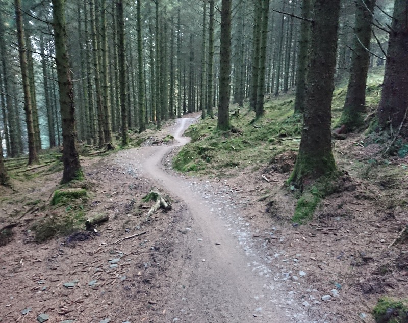 Coed Llandegla Trail Centre