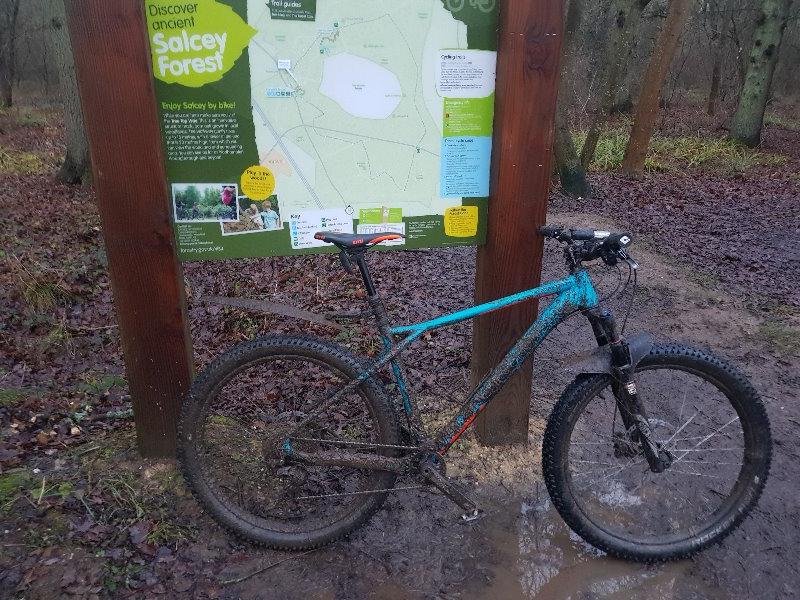 Salcey Forest Cycle Trail