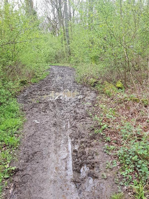 Salcey Forest Cycle Trail