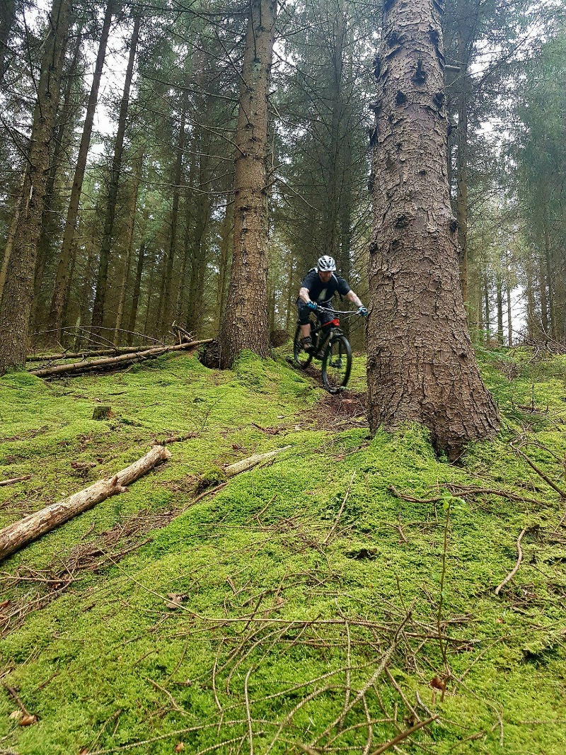 Dunkery & Horner Woods Mountain Bike Trails