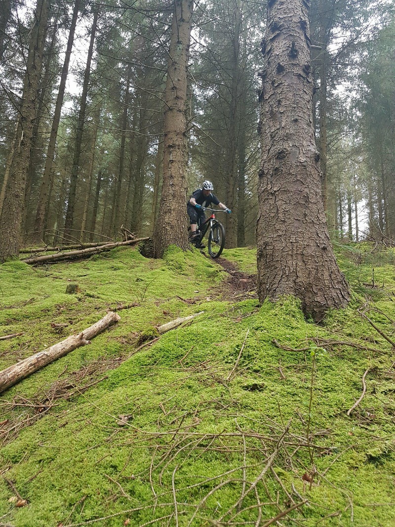 Dunkery & Horner Woods Mountain Bike Trails