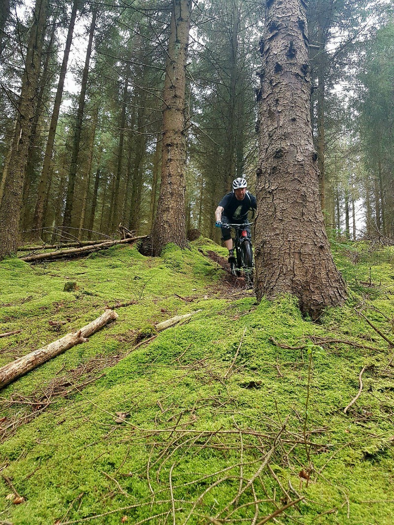 Dunkery & Horner Woods Mountain Bike Trails