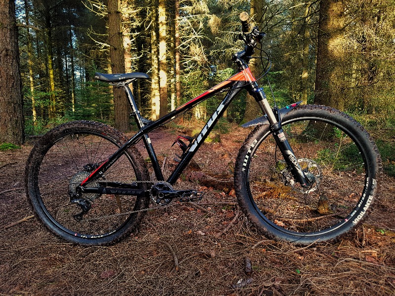 Dunkery & Horner Woods Mountain Bike Trails