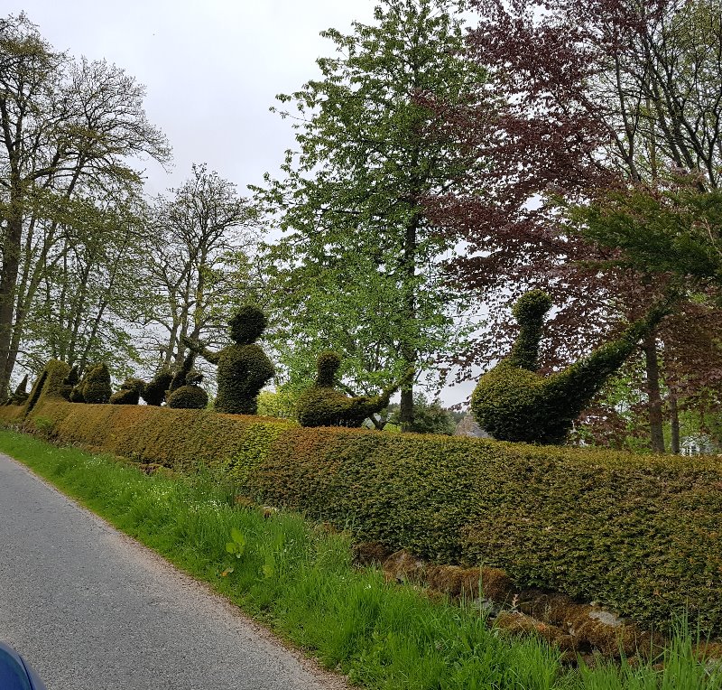 En-route to the Pitfichie trails