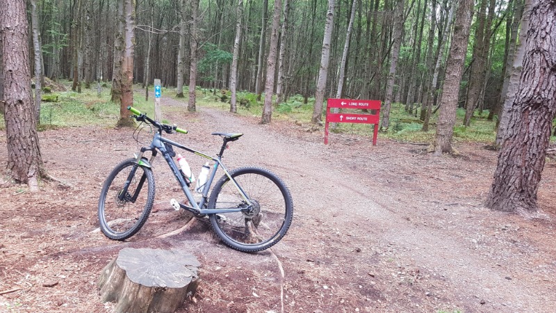 Thetford Forest (High Lodge) Mountain Bike Trails