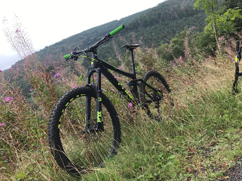 Twrch Trail - Cwmcarn