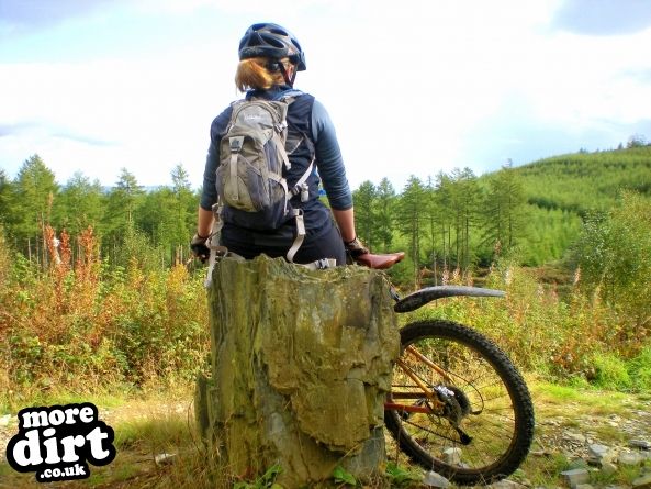 Phoenix Trail - Mabie Forest