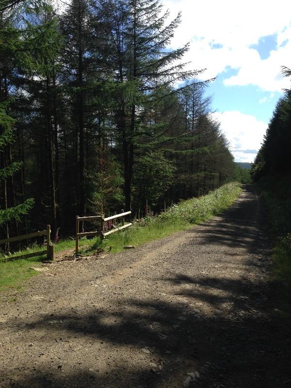 Cafall Mountain Bike Trail - Cwmcarn