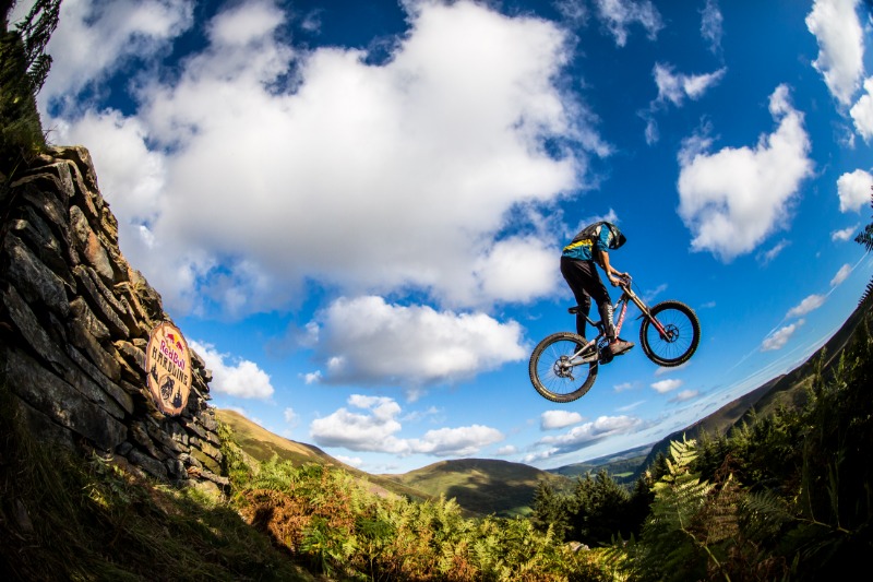 Dyfi Forest Mountain Bike Trails