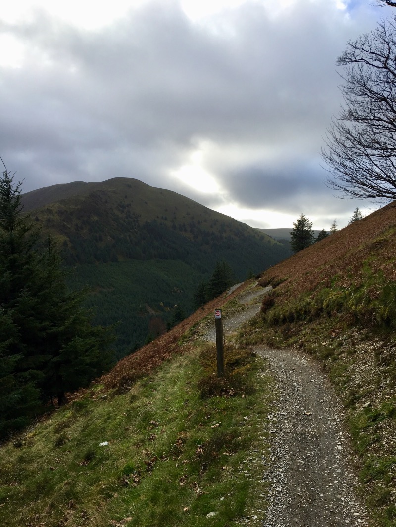 Grizedale Mountain Bike Trail Centre