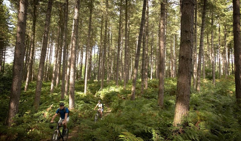 Sherwood Pines Mountain Bike Centre