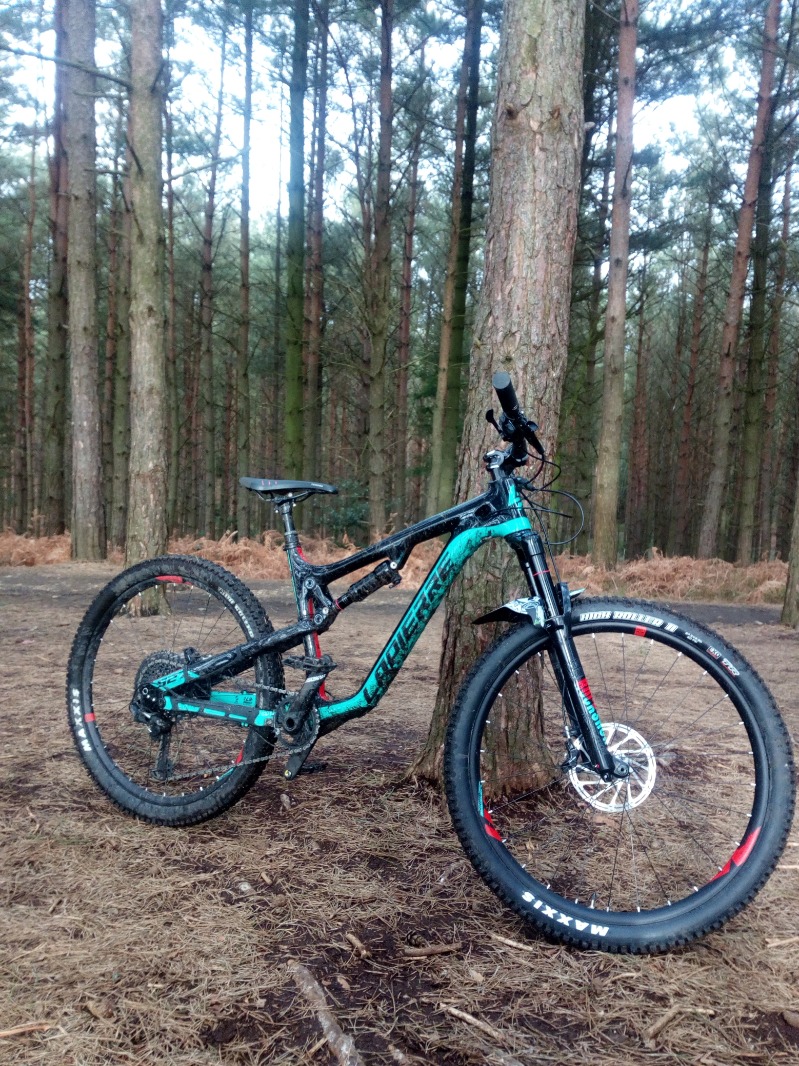 Swinley Forest Mountain Bike Centre