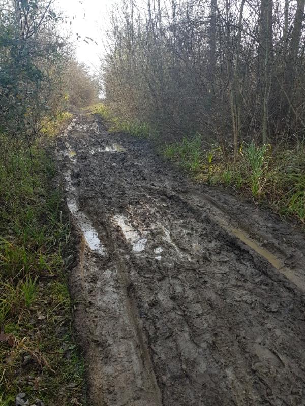 Salcey Forest Cycle Trail