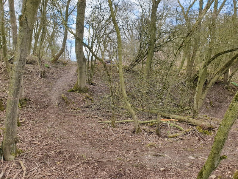 Korc Sport Mountain Bike Trails