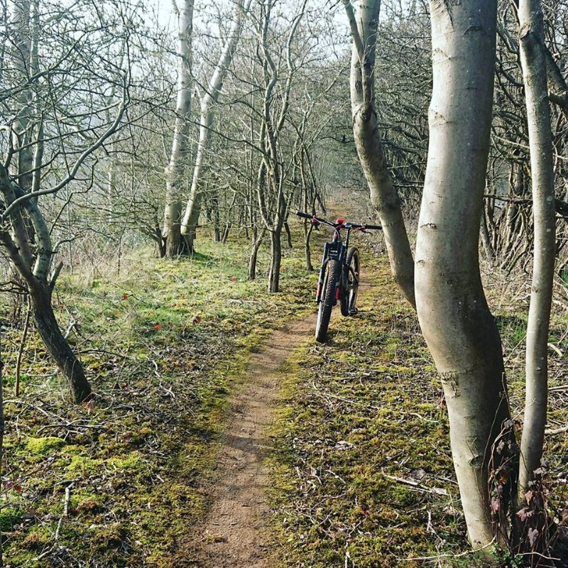 Korc Sport Mountain Bike Trails