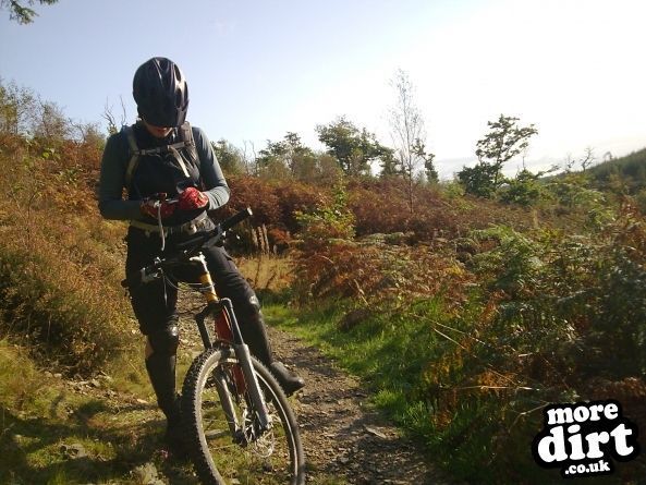 Phoenix Trail - Mabie Forest