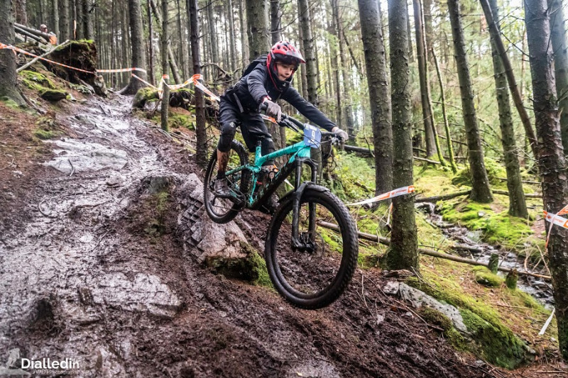 Grizedale Mountain Bike Trail Centre