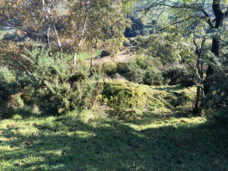 Leckhampton Hill Trails