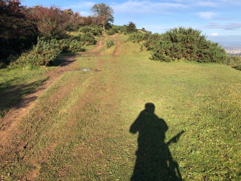Leckhampton Hill Trails