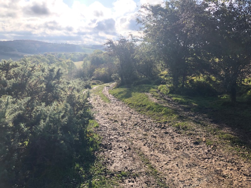 Leckhampton Hill Trails