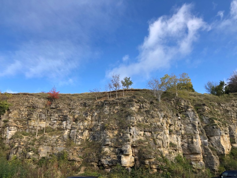 Leckhampton Hill Trails