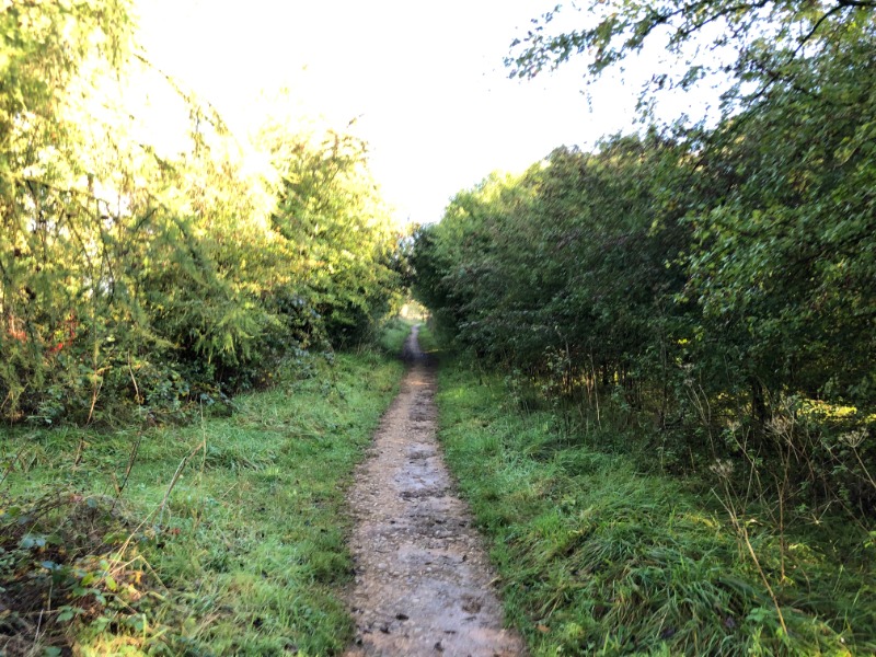 Leckhampton Hill Trails
