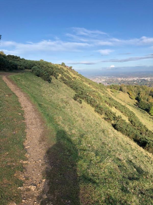 Leckhampton Hill Trails