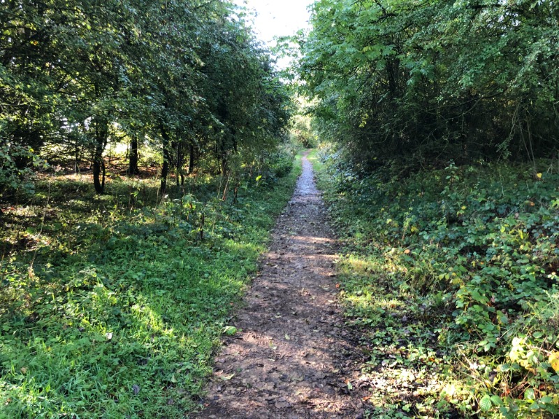 Leckhampton Hill Trails