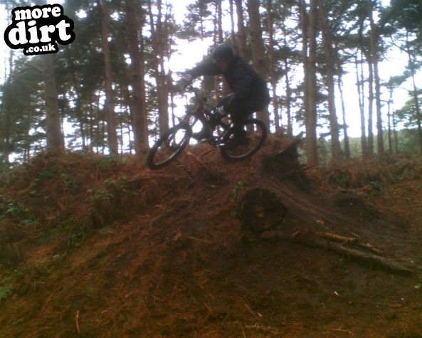 Delamere Forest Mountain Bike Trails