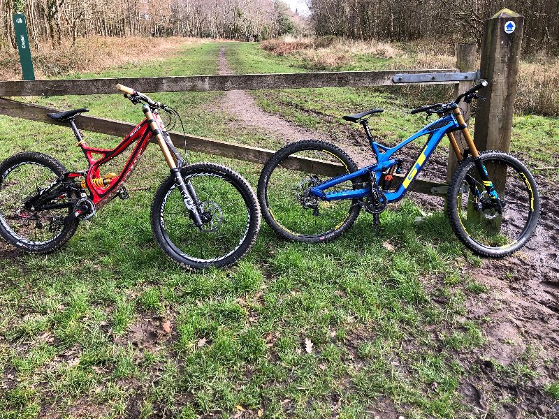 Haldon Forest Mountain Bike Trail Centre