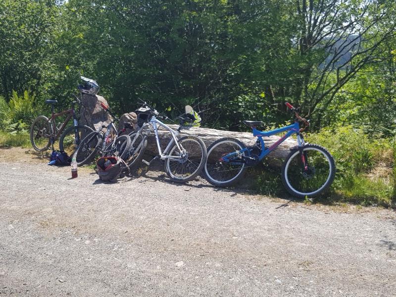 Brechfa Trail Centre