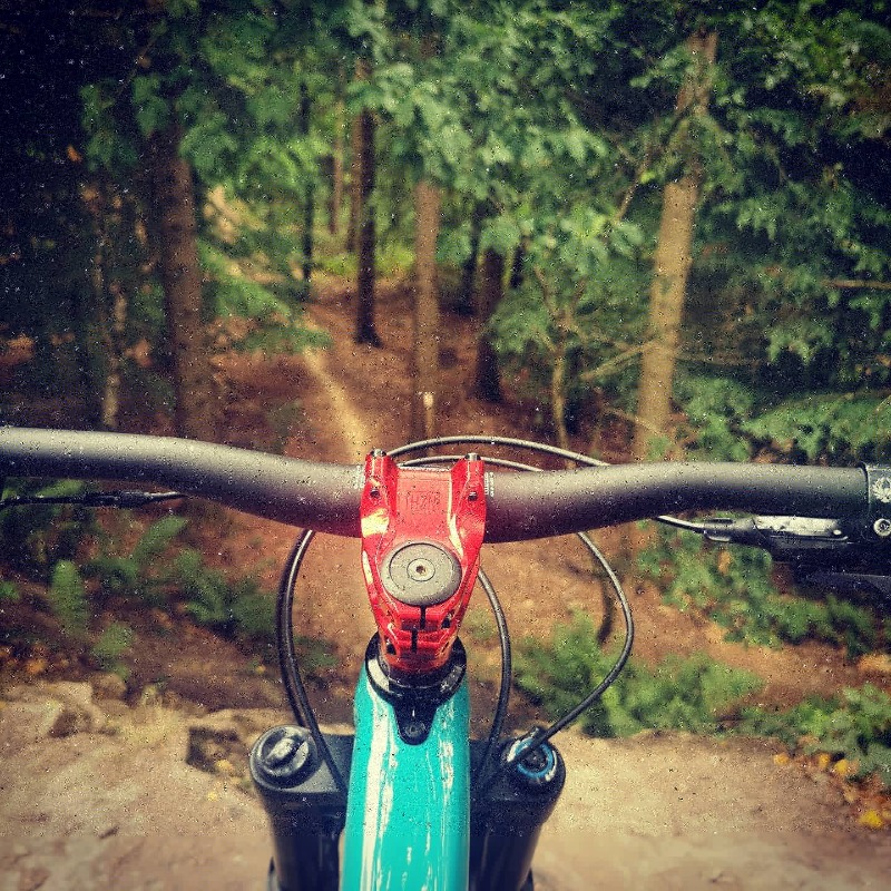 Forest of Dean Mountain Bike Trails