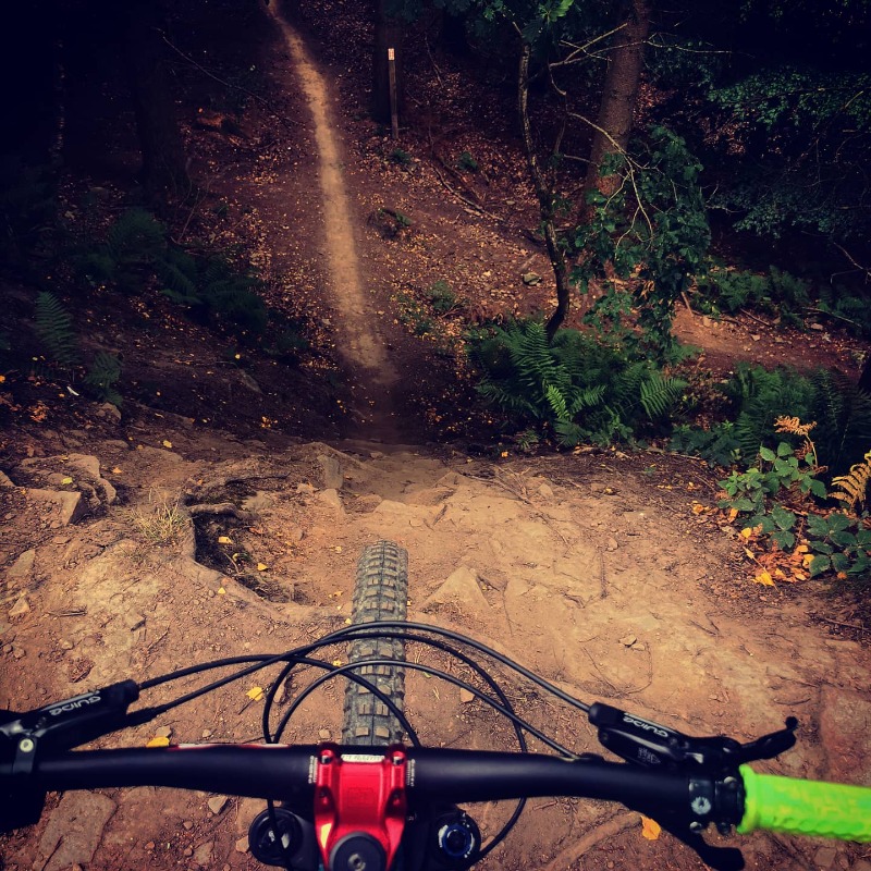 Forest of Dean Mountain Bike Trails