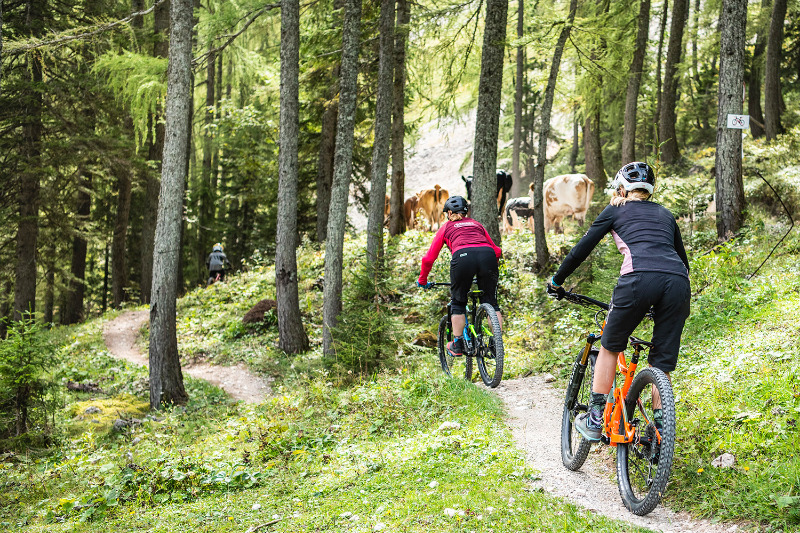 Wurbauerkogl Bike Park