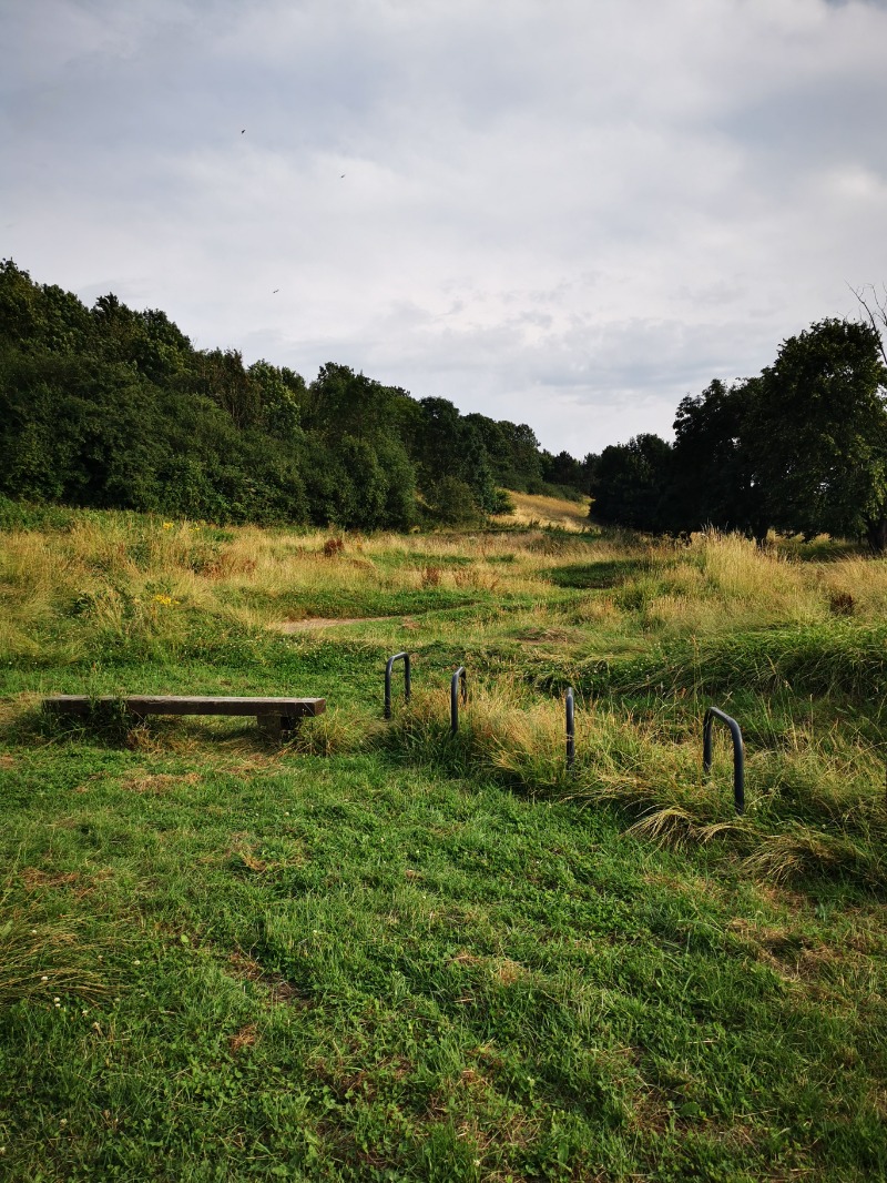 Stockwood Bike Park